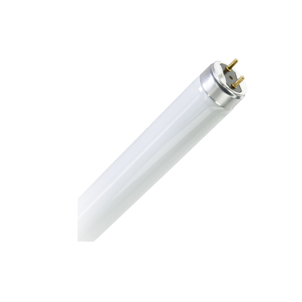 Лампа в ловушки для насекомых и полимеризации LT8 20W G13 | UVA BL368 L=579мм | - FOTON LIGHTING
